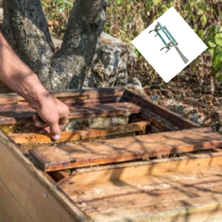 Stainless Steel Bees Frame Clip Queen Rearing System Tool Nests Box Holder Capture Hive Equipment Beekeeping Tool