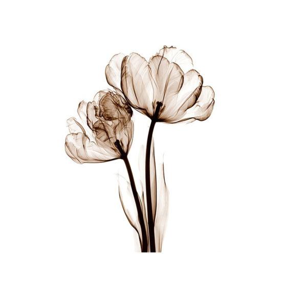 

Nordic Style Fancy Flower Canvas Painting Living Room Wall Picture Poster Decor 40*50cm