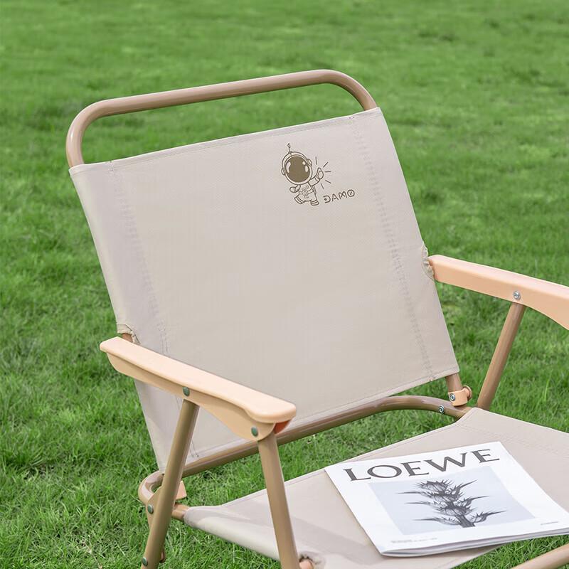 Damai Kermit Outdoor Folding Chair