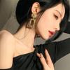 Fashion Eye-Catching Hollow Ear Studs High-End Famous Brand Earrings Fashion Minimalist Fancy Earrings Elegant Non-Piercing Ear Clip