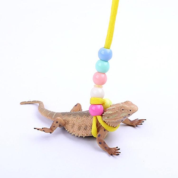150cm Reptiles Leash with Adjustable Buckle Flexible Reptiles Traction Rope
