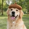 Breathable Pet Headwear Adjustable Pet Painter Hat Cat Beret Hat  Photos Sessions