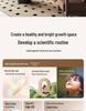 Premium Eye-Friendly Chinese Ceiling Lamps for Living Rooms, Dining Rooms, and Bedrooms