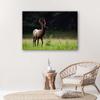 Canvas Print, Deer On a Meadow