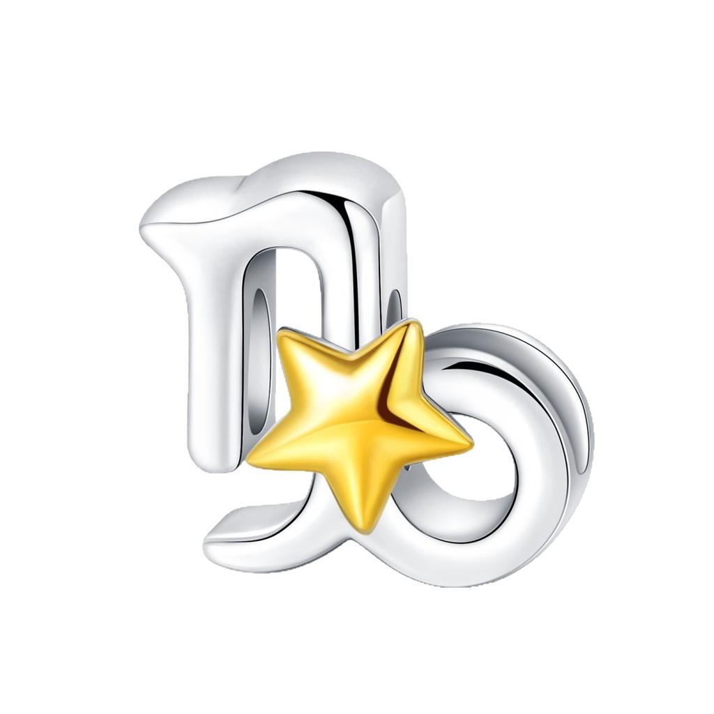 Twelve Constellations Charm Pendant Beads Diy Jewelry Bracelets Necklace Accessories Copper Beads