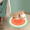 Cooling for Dogs Comfortable Cool Mattress Reusable Pad Pillow Breathable Blanket Bed Accessories
