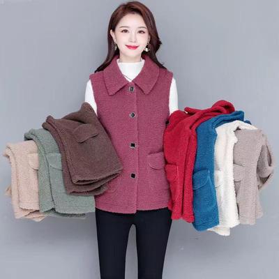 Autumn and Winter New Vest Medium and Long Imitation Lamb Wool Vest Middle-aged and Elderly Women Large Size Vest Temperament Coat