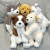Urocza pluszowa lalka piesek - Złoty Retriever i Husky Towarzysz snu dla dzieci