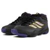 Adidas Crazy Iii 'Black Purple Gold' B72769