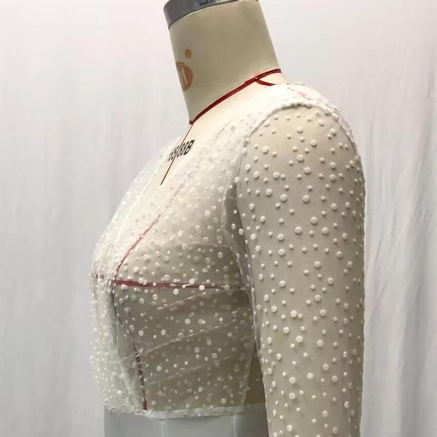 2025 Summer Autumn Women's Sheer Mesh Wedding Dress, Sexy V-Neck Long Sleeve Gown With High Slit, White See-Through Bridal Dress For Formal Events