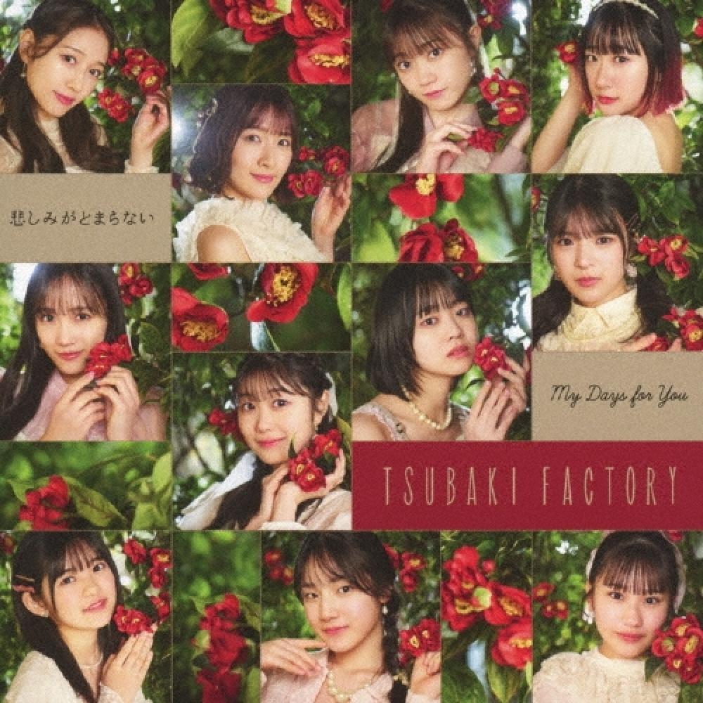

Tsubaki FacTory My Days For You Sadness Doesn T sTop [cd+blu Ray Disc] limiTed ediTion