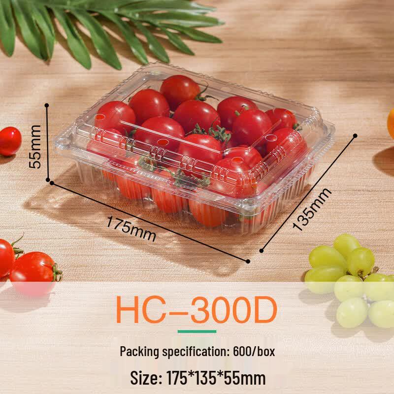Clear Rectangular Disposable Food Containers with Lids