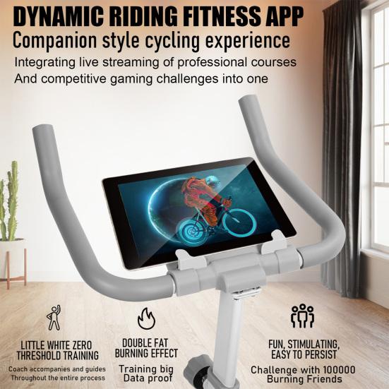 Heimtrainer Ergometer Indoor Cycling Bike Magnetischer Heimtrainer Fahrrad Heimtrainer aufrecht für Heim-Fitnessstudio-Workout mit Bremse Schwungrad