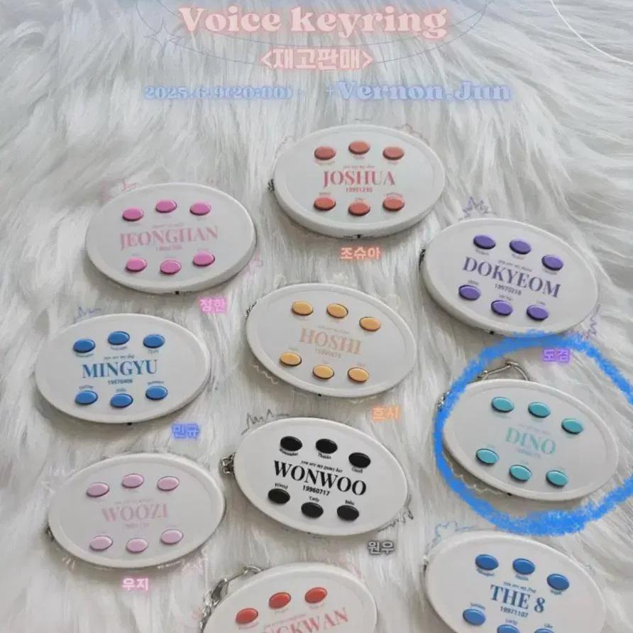 Seventeen Dino Voice Keyring