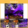 Halloween Spider String Lights Purple Color Bright And Long-lasting Indoor/outdoor Decorative Lighting