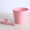 Yingtang Hanging Flower Pot with Removable Hook