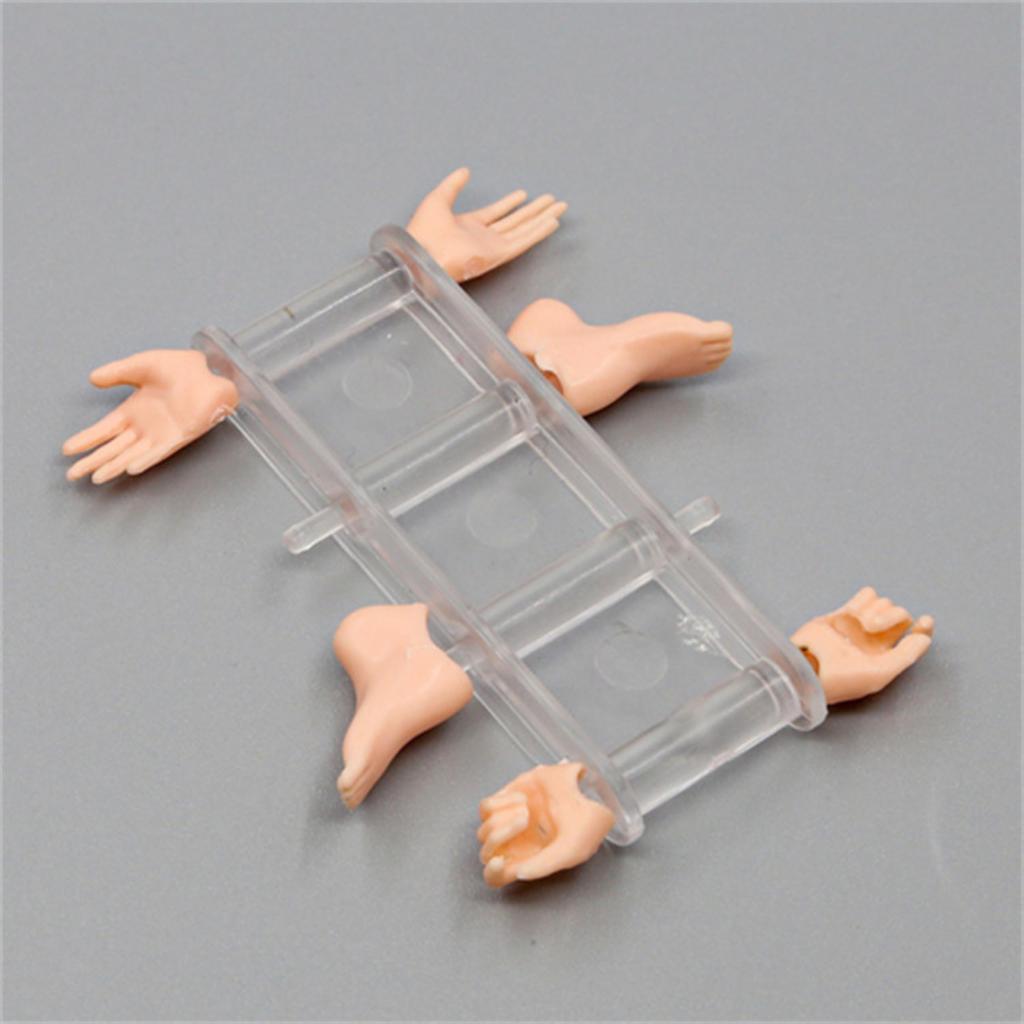 TikTrunk Action Figure Drawing Doll Set, Male and Female, 1/12 Scale Articulated, Muscular, PVC (Skin Tone), for Illustration, Manga, and More