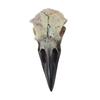 Halloween Raven Skull Decor Halloween Decor for Party Window Sill Home