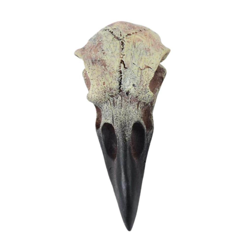 Halloween Raven Skull Decor Halloween Decor for Party Window Sill Home