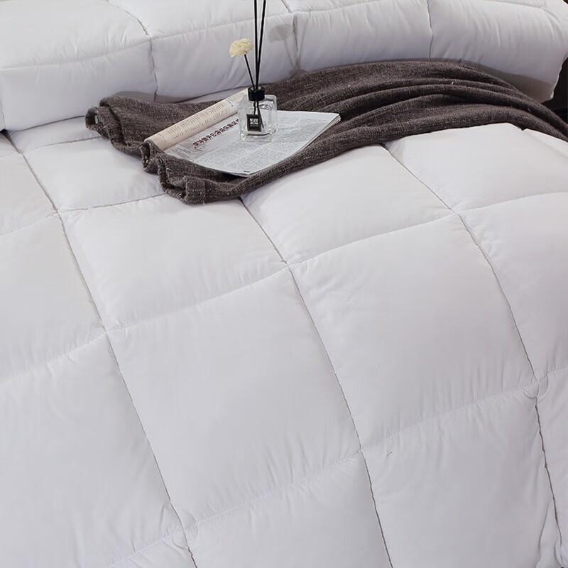 PLOVER Brushed Four-Season Breathable Antibacterial Duvet