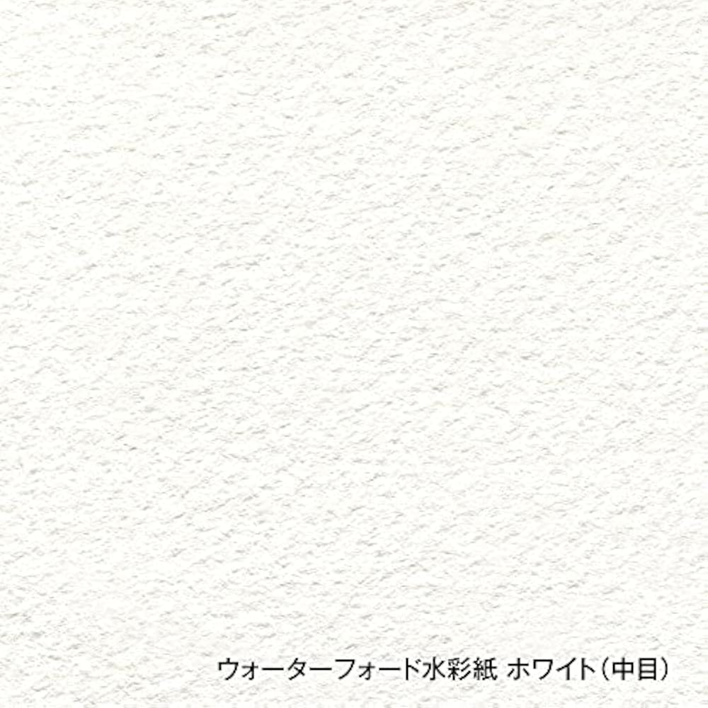Holbein Waterford Waterford Watercolor Paper EHB-F2 White Medium 300g F2 Size Block Type 12 Sheet...