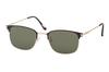 Sunglasses Free Size [Coleman] CO3084-2 Black/Gold