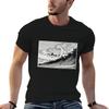 Katsushika Hokusai (1760-1849) Vintage Japanese T-Shirt Casual Loose Short Sleeve Tee for Men