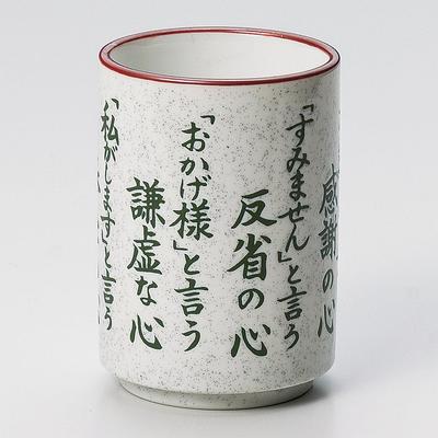 Yamashita Craft Nashiji Nichijo Goshin Yunomi - (Teacup) 392-30-206