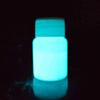 20g Glow In the Dark Fluorescent Colorful Acrylic Luminous Paint Bright Pigment DIY Crafts Painting Tool
