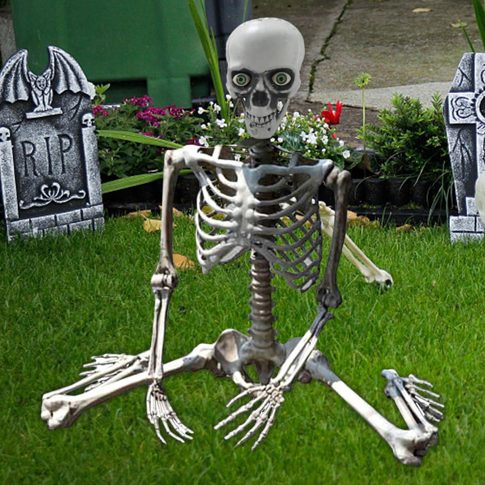 

Halloween Skeleton Full Body Posable Joints Decor Durable Model Scary Skeletons 70cm