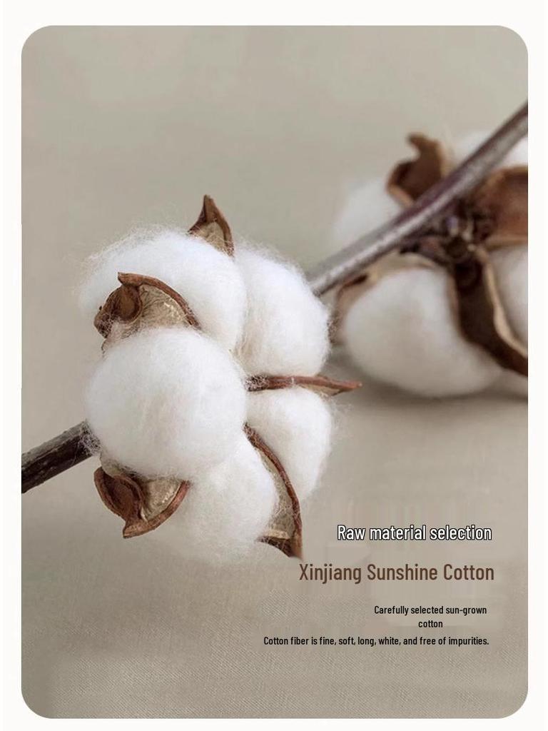 Xinjiang Baumwollbettdecke - Maschinenwaschbar für alle Jahreszeiten: Dicke, warme Doppelbettdecke für Frühling, Herbst und Winter