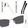New Luxury Brand Design Fashion Cat Eye Sunglasses Women Ins Fashion Small Frame Sun Glasses Eyewear Shades