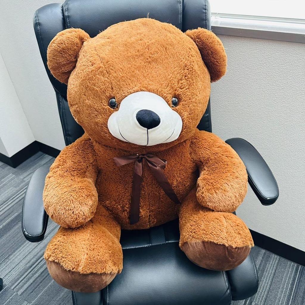 [USED] Teddy Bear Plush Toy Fluffy Bear Women's Kids Gift