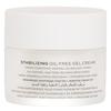 NATURA BISSE Oil-Free Gel Cream Stabilization
