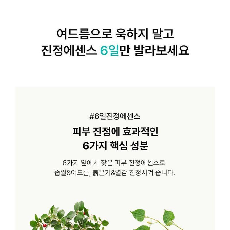 BLITHE - Vital Treatment 6 Calming Leaves Mini