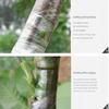 120M Self-adhesive PE Grafting Tape Film Stretchable Garden Tree Plants Seedlings Vine Tomato Grafting Accessories