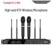 Xun Er Wei GX-229 Professional True Diversity Wireless Microphone System (CN Version)
