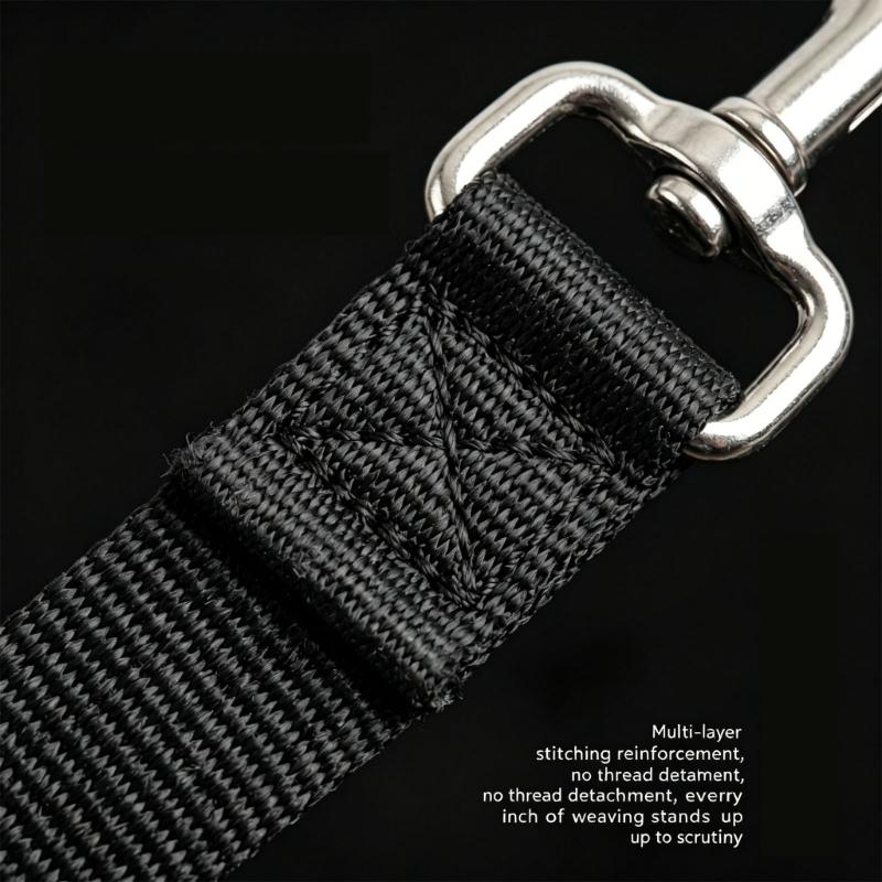 Horse Neck Stretcher Strap Set for Horse Schooling, Nylon Webbing with Metal Snap Clips, 250 cm Clip On Design for Neck Stretch Guidance, 2 Piece Set