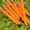 Signing Pen Creative Carrot Shape Ballpoint Pen 6 Color Retractable Pen Smooth Writing Stationery Pen for School