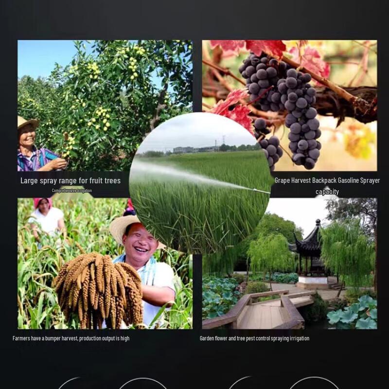 Deqier GX35 20L Agricultural Backpack Power Sprayer CN plug (adapter included)