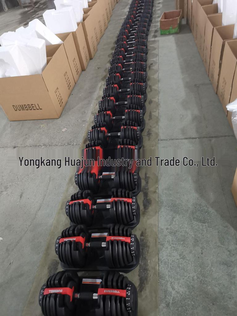 552 Adjustable Dumbbell: Quick 3-Second Adjustment from 2.5-24 Kg for Home Fitness