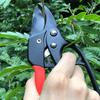 1pc, Professional Ratchet Anvil Pruning Shears, Segmented Pulley Pruning Shears, Hand-saving Branch Pruning Shears