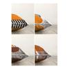 4 Piece Digital Printed Cushion Cover Set