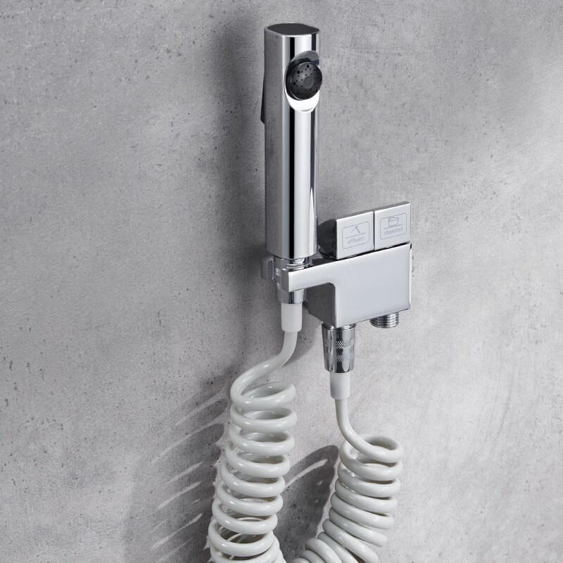 TLXT Toilet Bidet Spray Faucet