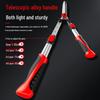 Delixi Electric Pruning and Hedge Shears for Gardening