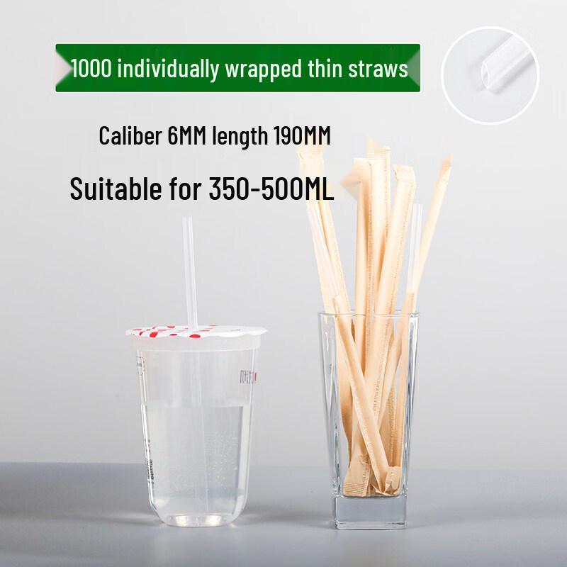 ZISIZ Disposable Plastic Straws