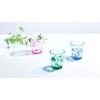 SCANDINOVIA 250ml Unbreakable Cup - Set 4 Glass Plastic High-Grade BPA Free Dishwasher Safe Stylish Bathroom