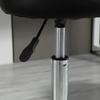 2-Piece Set Rolling Stool Height-Adjustable, Swivel Stool 48-63 cm, Work Stool 360 degrees Rotatable, Office Stool for Office, Salon, Massage, Spa