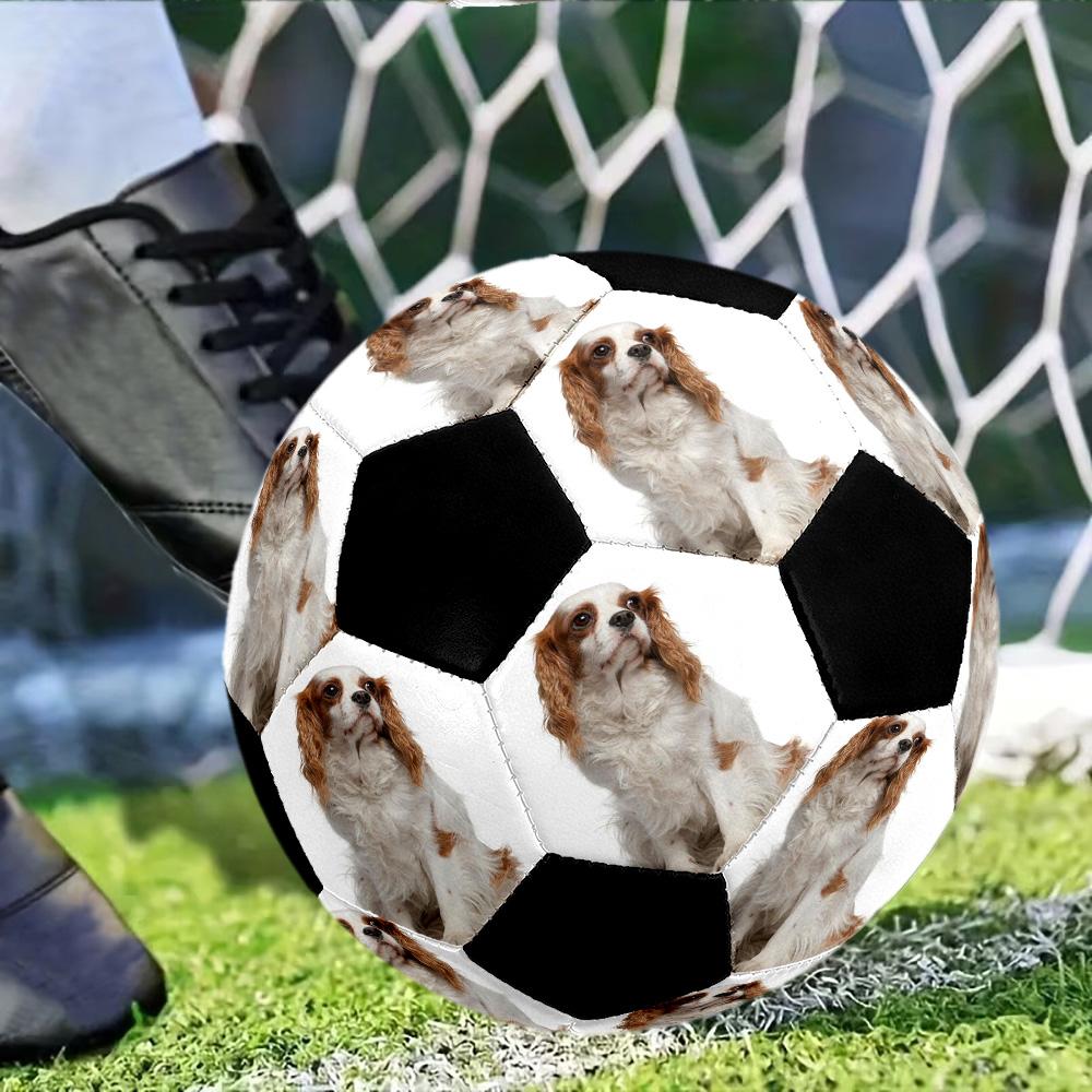Cavalier Charles Spaniel Personalized photo Size 5 Soccer Ball Machine-Stitched Indoor/Outdoor Universal Football Personalized Soccer Ball