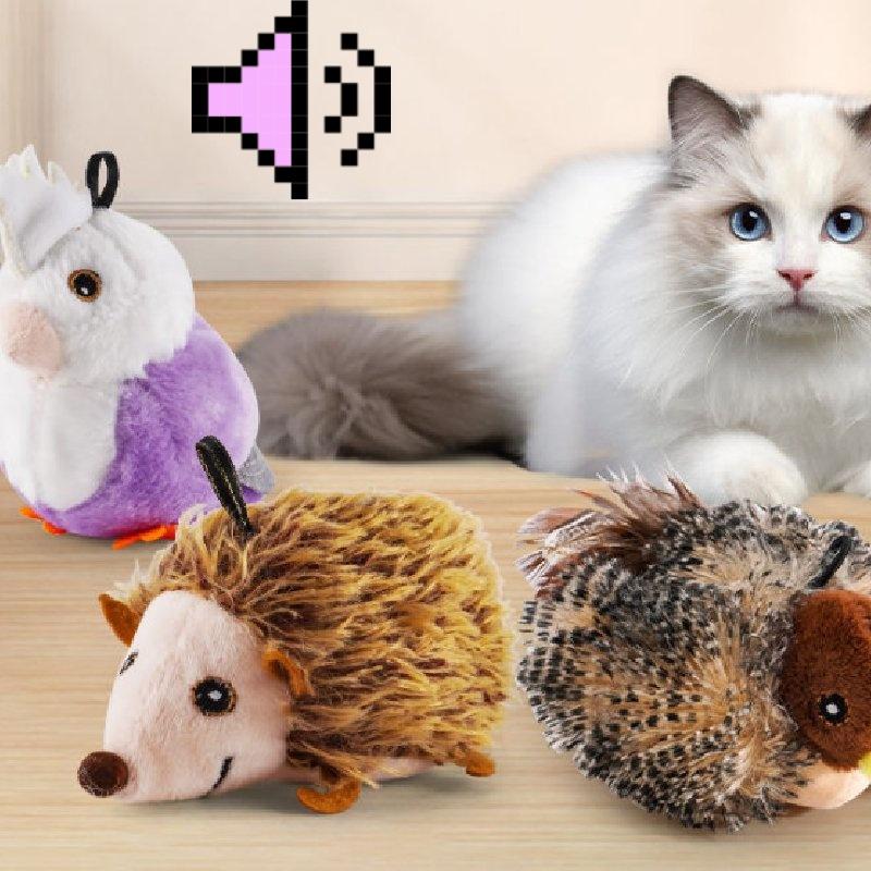 Spielzeug Berührung Katze Induktion Vokalisationen Spatzen Papageien Wasserschweine Igel